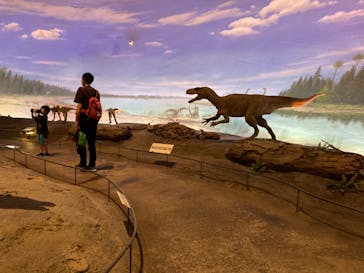 福井県立恐竜博物館に投稿された画像（2024/7/30）