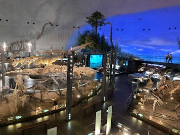 福井県立恐竜博物館に投稿された画像（2024/7/30）