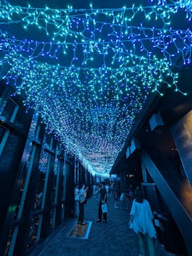 東京タワーに投稿された画像（2024/7/30）