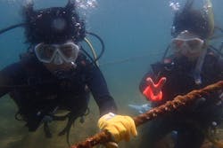 ステイドリームに投稿された画像（2024/7/30）