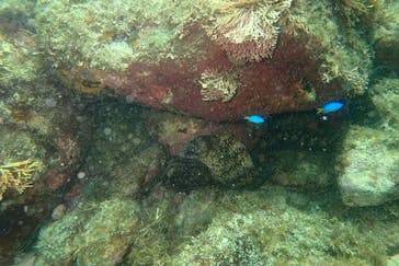 ステイドリームに投稿された画像（2024/7/30）