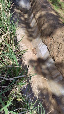 千葉市動物公園に投稿された画像（2024/7/30）