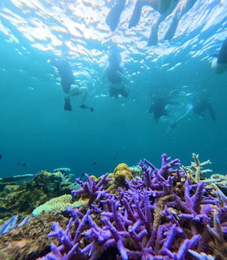 西表島 ADVENTURE PiPi（アドベンチャーピピ）に投稿された画像（2024/7/30）