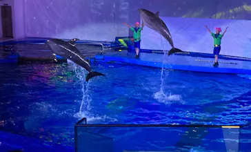仙台うみの杜水族館に投稿された画像（2024/7/30）