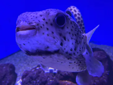 仙台うみの杜水族館に投稿された画像（2024/7/30）