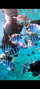 武藤潜水に投稿された画像（2024/7/30）