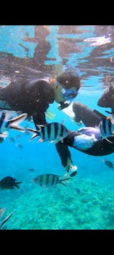 武藤潜水に投稿された画像（2024/7/30）