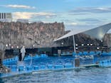 名古屋港水族館に投稿された画像（2024/7/30）