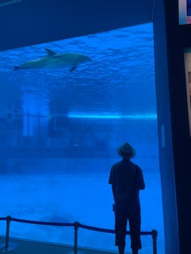 名古屋港水族館に投稿された画像（2024/7/30）