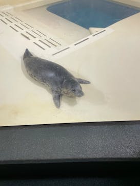 鴨川シーワールドに投稿された画像（2024/7/30）