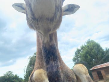 東北サファリパークに投稿された画像（2024/7/30）