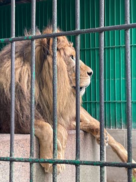 東北サファリパークに投稿された画像（2024/7/30）