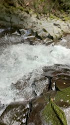 スプラッシュ伊豆に投稿された画像（2024/7/30）