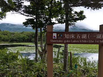 オホーツク自然堂に投稿された画像（2024/7/30）