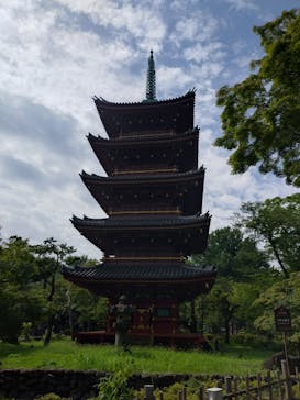 恩賜上野動物園に投稿された画像（2024/7/31）