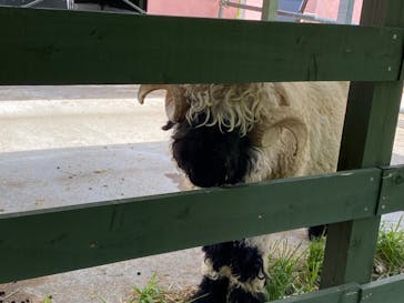 EnglishGardenローザンベリー多和田に投稿された画像（2024/7/31）