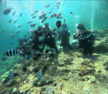 武藤潜水に投稿された画像（2024/7/31）