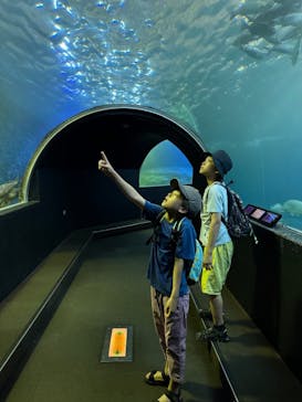 串本海中公園水族館に投稿された画像（2024/7/31）