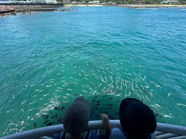 串本海中公園水族館に投稿された画像（2024/7/31）