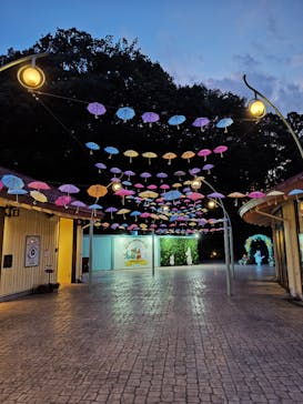 ムーミンバレーパークに投稿された画像（2024/7/31）