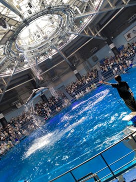 マクセル アクアパーク品川に投稿された画像（2024/7/31）