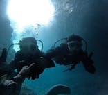 沖縄マリンサービス碧に投稿された画像（2024/7/31）