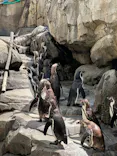 仙台うみの杜水族館に投稿された画像（2024/7/31）