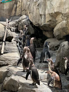 仙台うみの杜水族館に投稿された画像（2024/7/31）