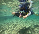 沖縄マリンサービス碧に投稿された画像（2024/7/31）