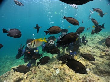 武藤潜水に投稿された画像（2024/7/31）