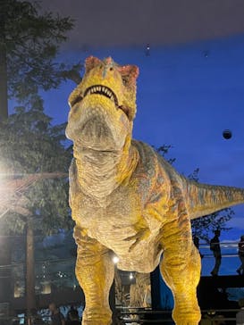 福井県立恐竜博物館に投稿された画像（2024/7/31）