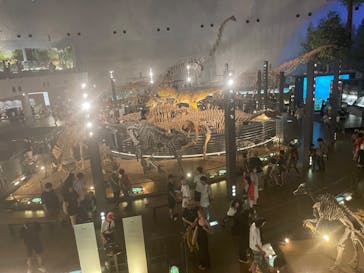 福井県立恐竜博物館に投稿された画像（2024/7/31）