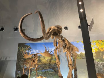 福井県立恐竜博物館に投稿された画像（2024/7/31）