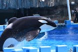 名古屋港水族館に投稿された画像（2024/7/31）