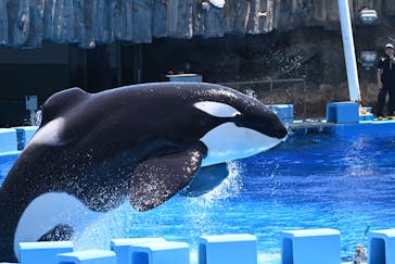 名古屋港水族館に投稿された画像（2024/7/31）