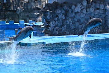 名古屋港水族館に投稿された画像（2024/7/31）