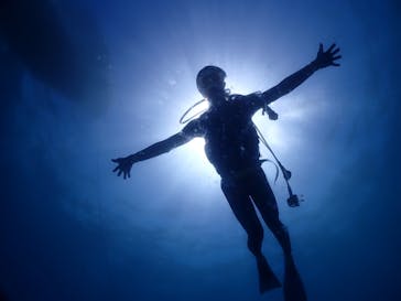 ダイブロックに投稿された画像（2024/7/31）