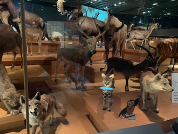 国立科学博物館に投稿された画像（2024/7/31）