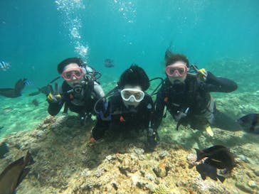 武藤潜水に投稿された画像（2024/7/31）