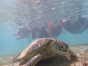 nico 宮古島に投稿された画像（2024/7/31）