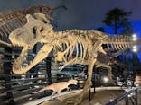 福井県立恐竜博物館に投稿された画像（2024/7/31）