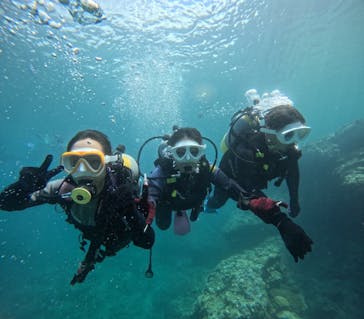 沖縄マリンサービス碧に投稿された画像（2024/7/31）