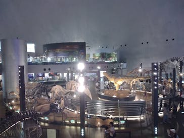福井県立恐竜博物館に投稿された画像（2024/7/31）