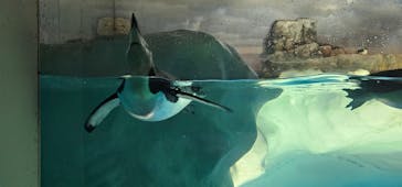 名古屋港水族館に投稿された画像（2024/7/31）