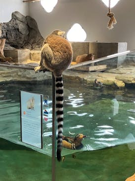 NIFREL（ニフレル）に投稿された画像（2024/7/31）