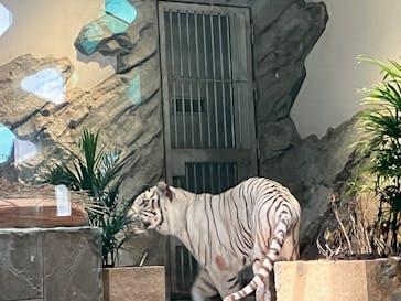 NIFREL（ニフレル）に投稿された画像（2024/7/31）