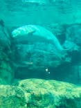 名古屋港水族館に投稿された画像（2024/7/31）