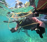 Simple marine service（シンプルマリンサービス）に投稿された画像（2024/7/31）