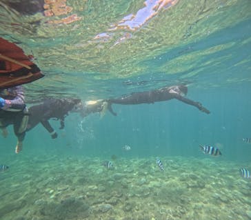 Simple marine service（シンプルマリンサービス）に投稿された画像（2024/7/31）