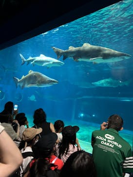 アクアワールド茨城県大洗水族館に投稿された画像（2024/7/31）